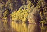 Mincio River